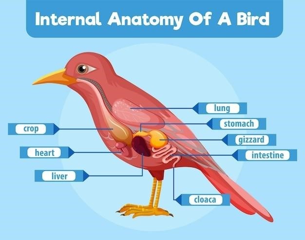 bird guide jack griggs pdf