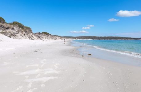 peter cundall planting guide tasmania