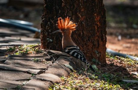 asce 7 16 pdf download free