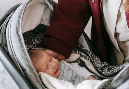 maxi cosi mico 30 manual